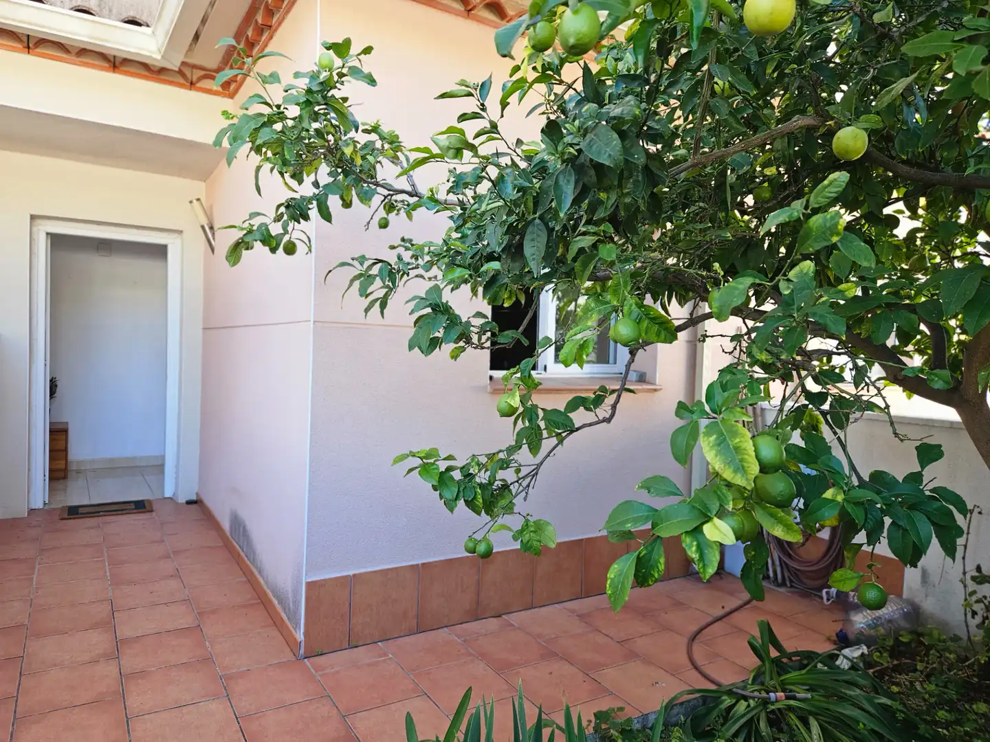 Adosado con jardín en venta en Carrer del Pintor Fortuny, imagen 41