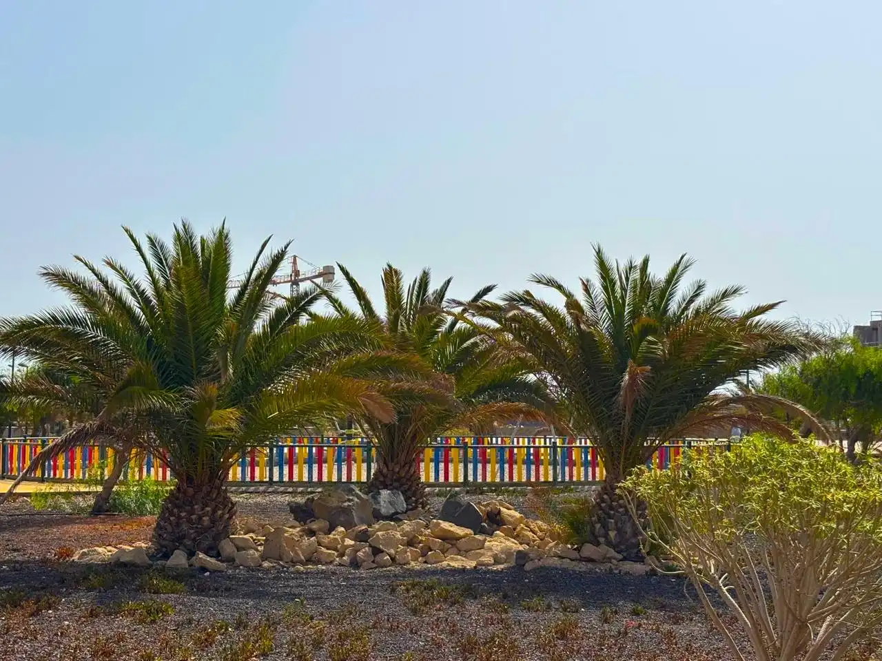 Exterior view of Duplexes for sale in Granadilla de Abona  with Furnished and Community pool