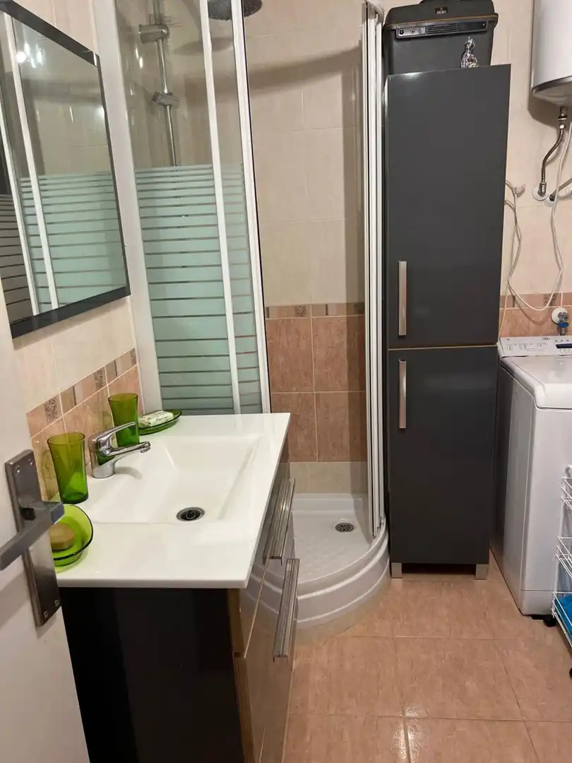 Appartement avec jardin à vendre à Paseo Reina Sofía 9, imagen 9
