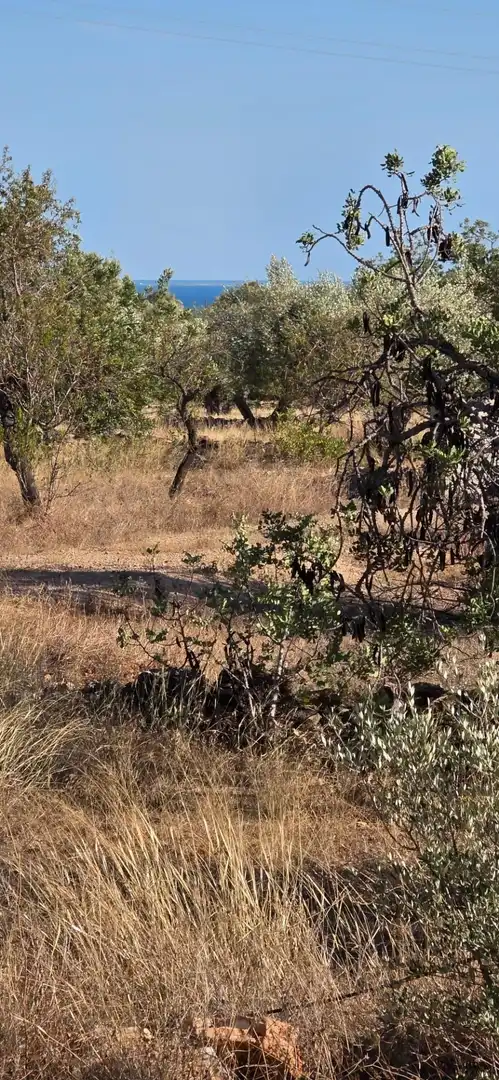 Casa rústica en venda a L'Ametlla de Mar pueblo, imagen 26