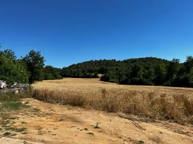 Finca rústica en venta en Bescanó