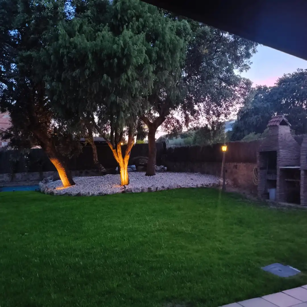 Jardí de Casa o xalet en venda en Valdemorillo amb Piscina comunitària