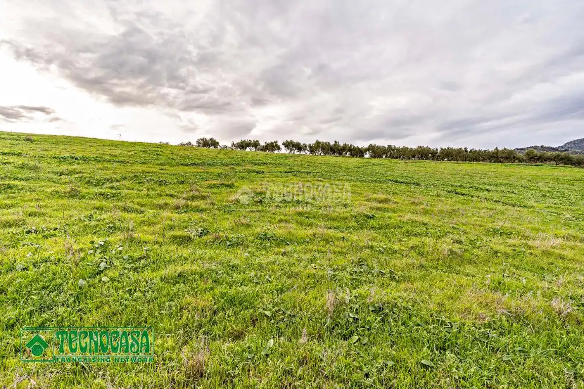 Rural land for sale in Alozaina, imagen 9