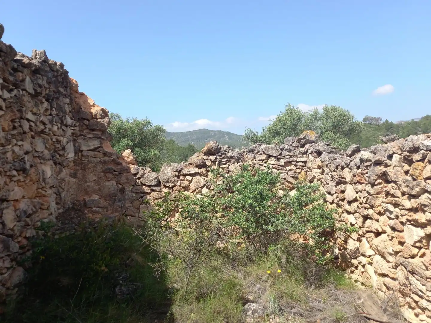 Terreny rústic en venda a Miravet, imagen 6