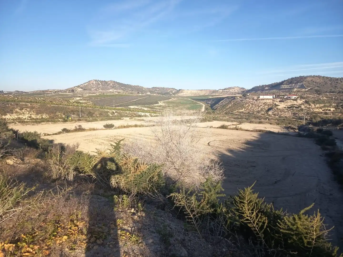 Terreno rústico en venta en Desamparados - Hurchillo - Torremendo, imagen 2