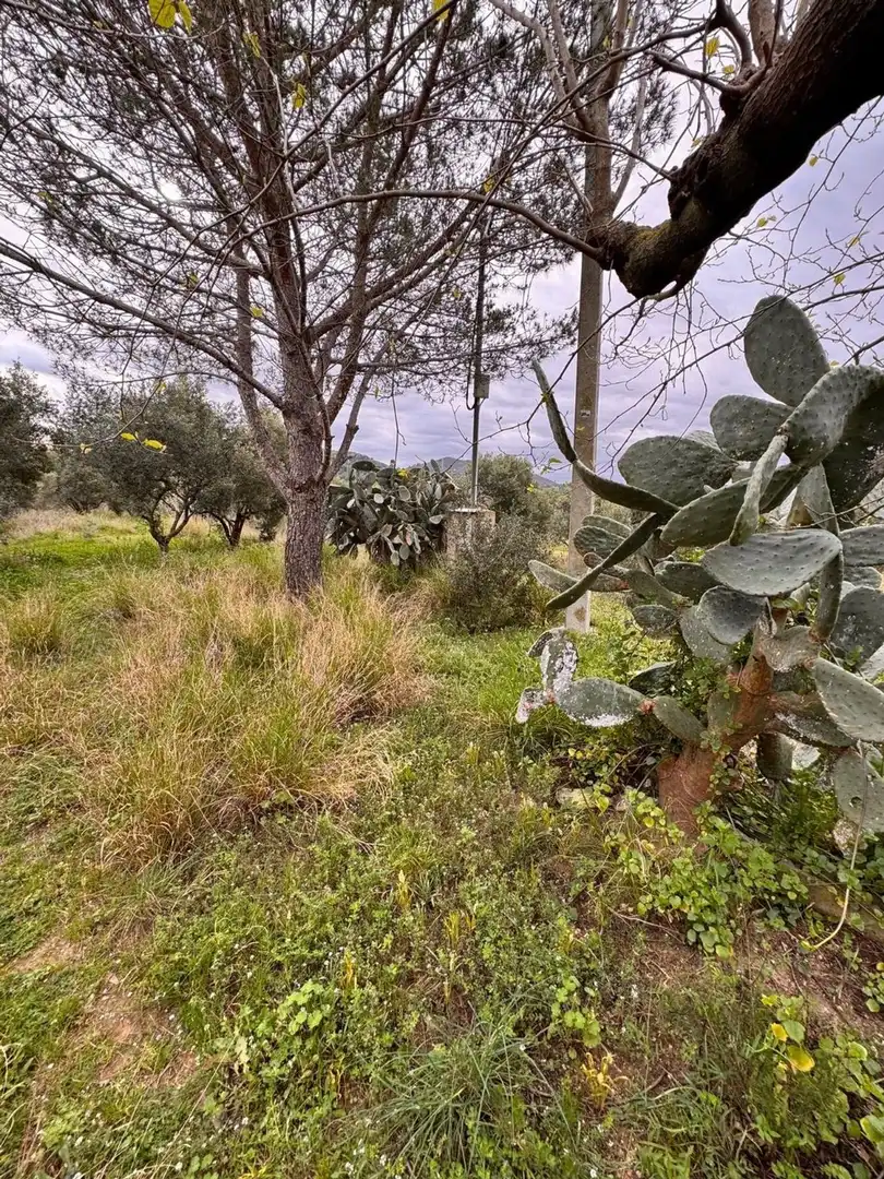 Terreno residencial en venta en Urbanitzacio Garrigots, imagen 13