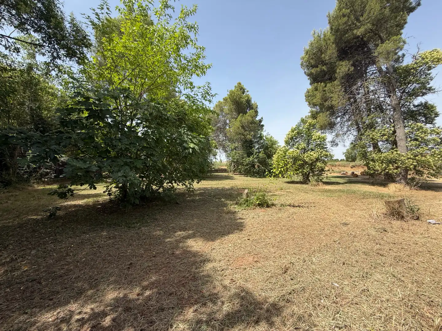 Residencial en venda a Camí de Lleida, 14, Els Alamús