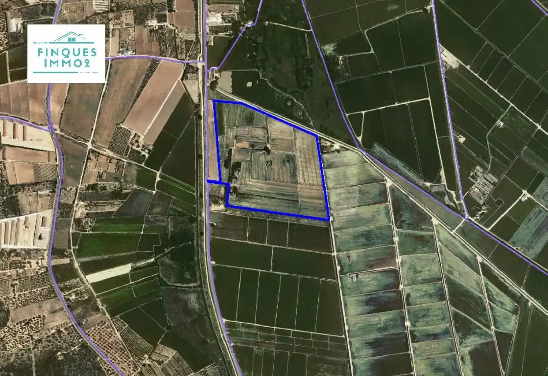 Terrain rustique à vendre à Eucaliptus- Poble Nou del Delta
