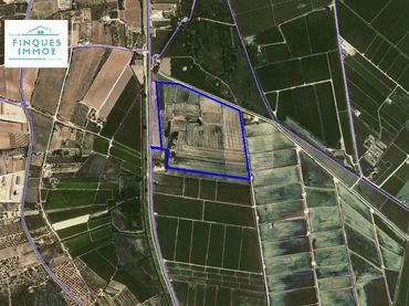 Terrain rustique à vendre à Eucaliptus- Poble Nou del Delta