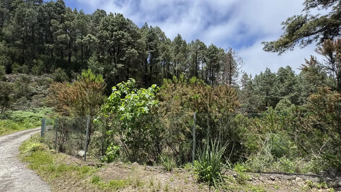 Lands and plots for sale in La Peña 1, imagen 4
