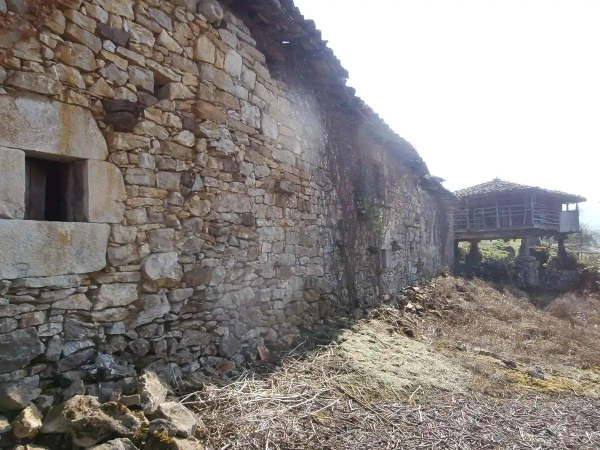 Maison à vendre à Grado, imagen 13