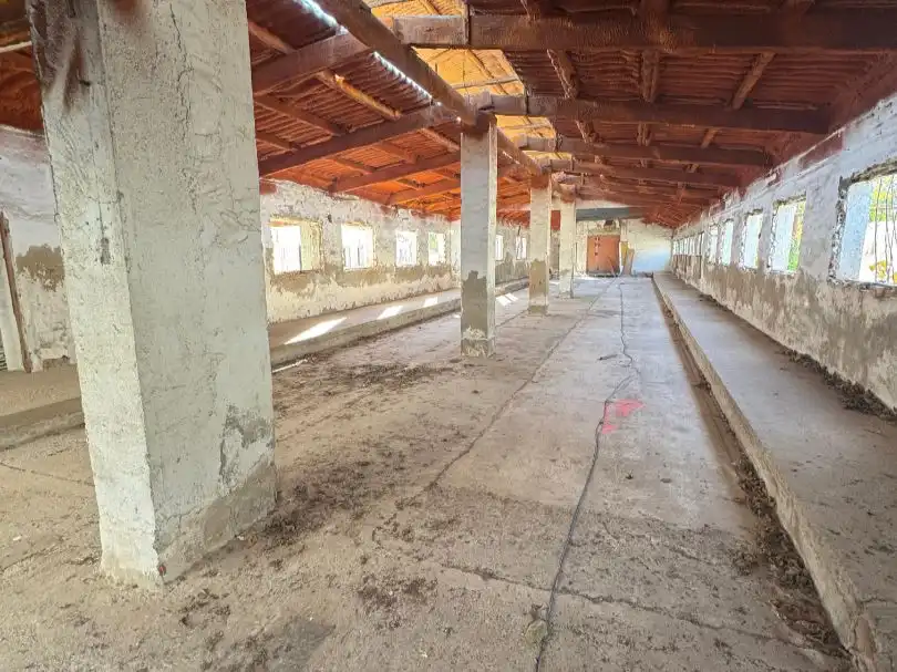 Industriegebäude zum Verkauf in Partida Torregroses Polig C 47, imagen 2