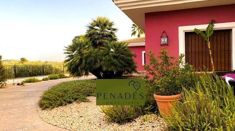 Foto 2 de Casa o chalet en venta en Santa Ana, Ontinyent