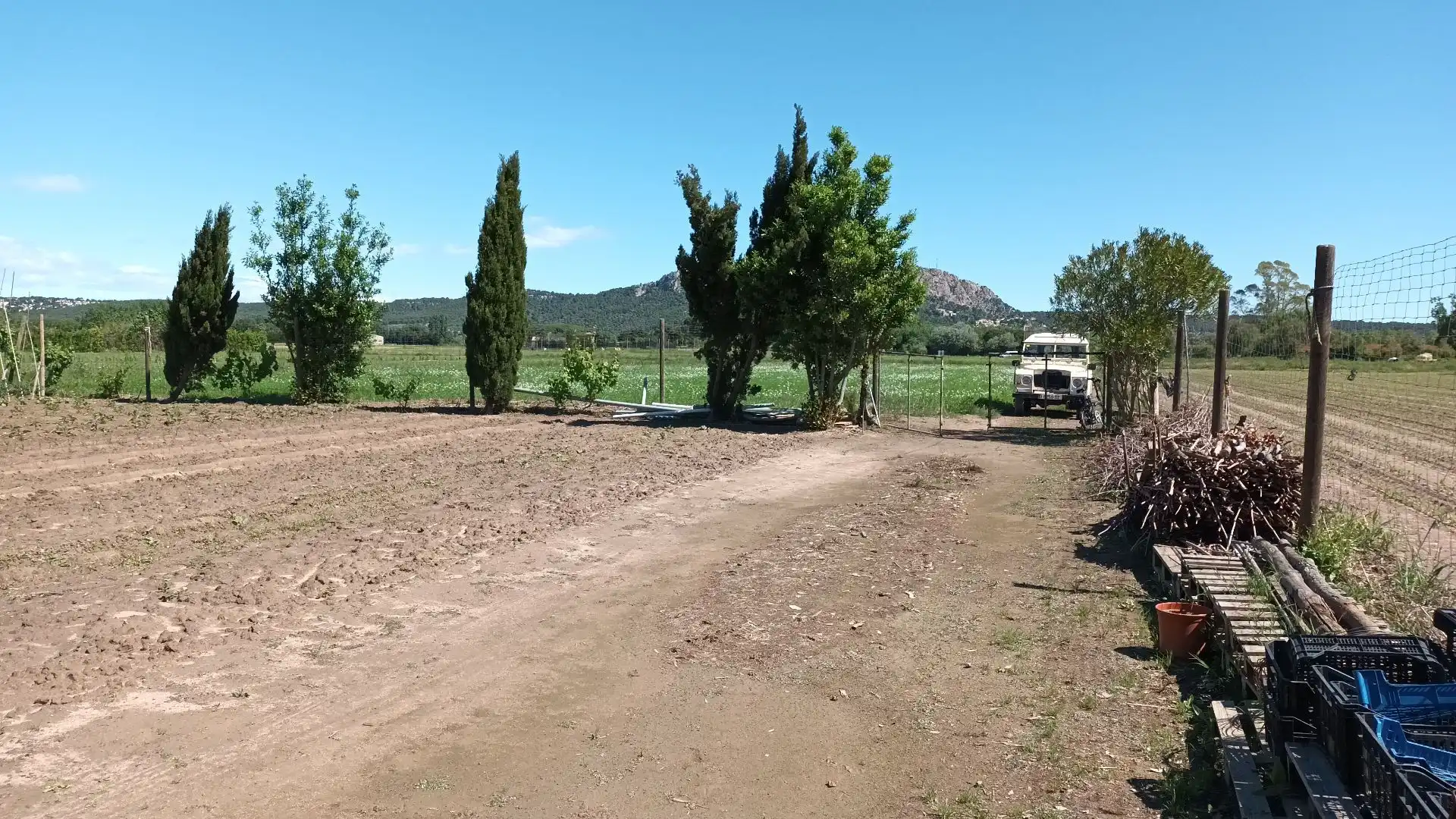 Terreny rústic en venda a Els Griells, imagen 6