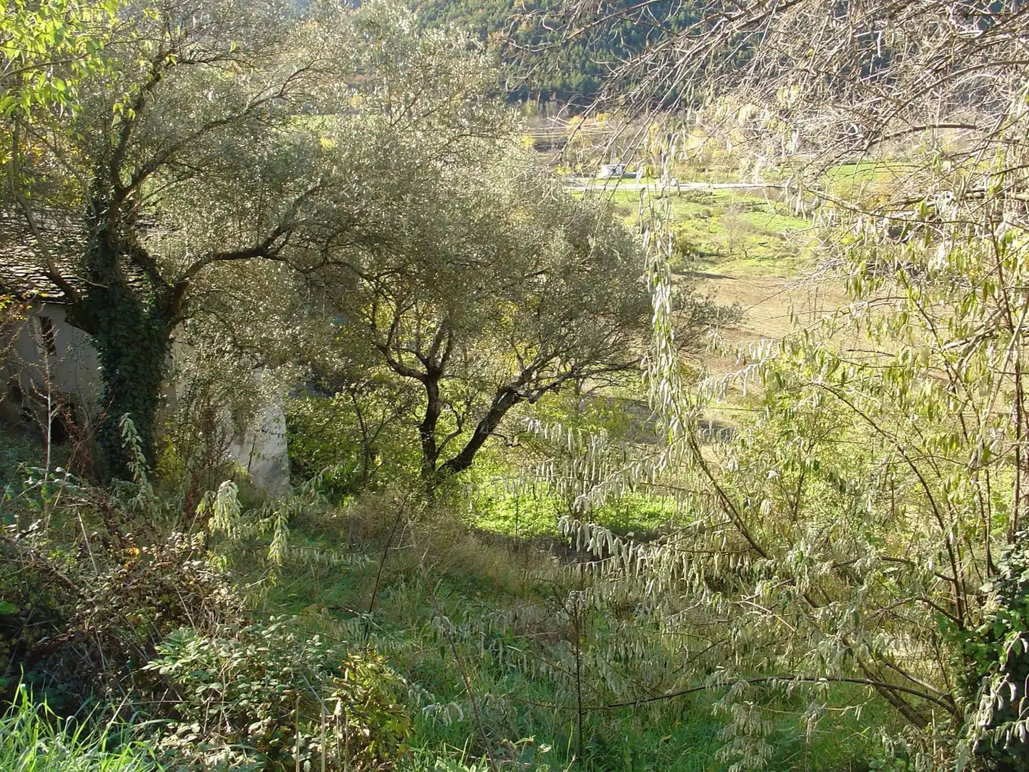 Terreni e lotti in vendita a Boltaña, imagen 13