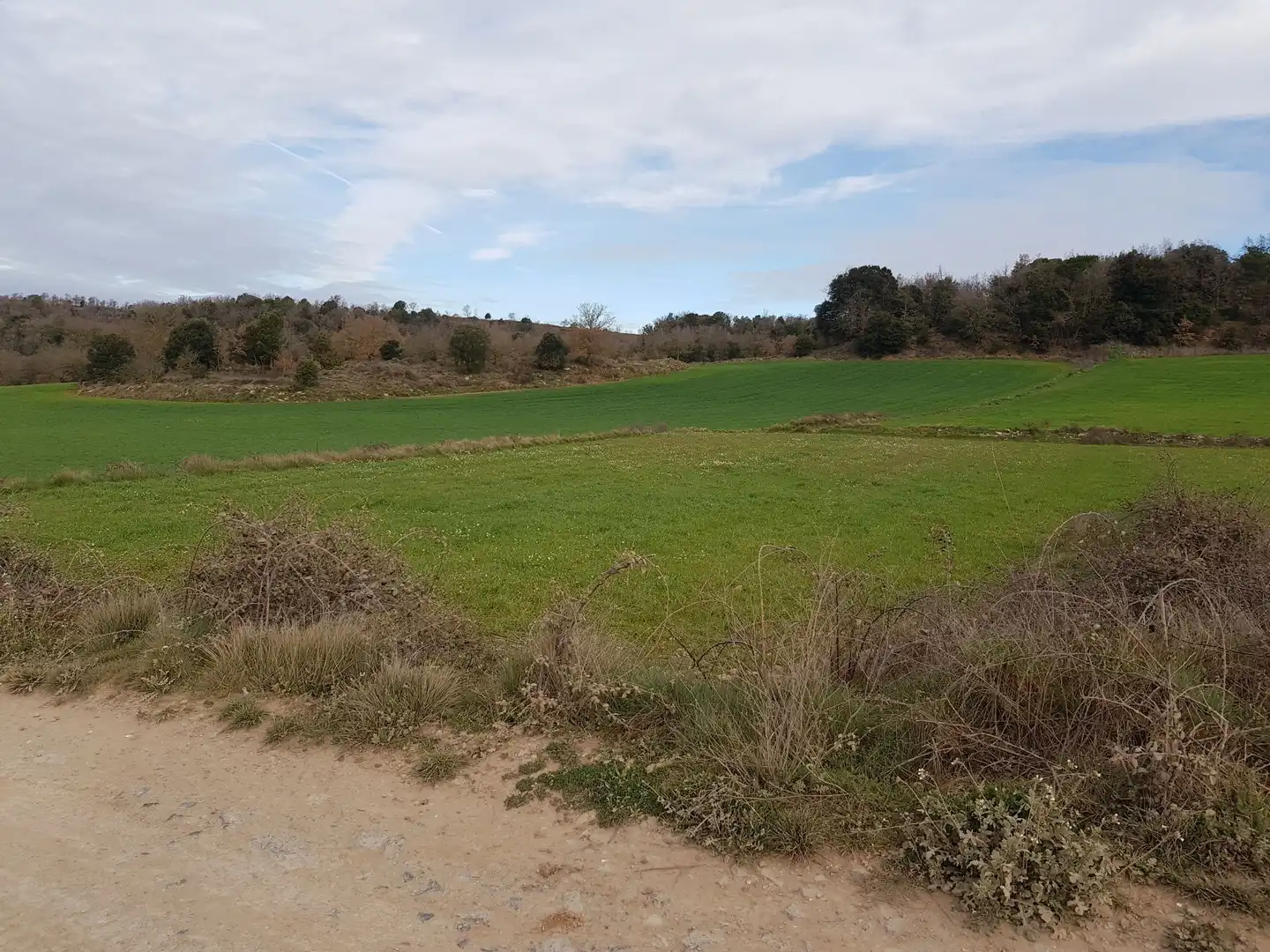 Land for sale in Moià
