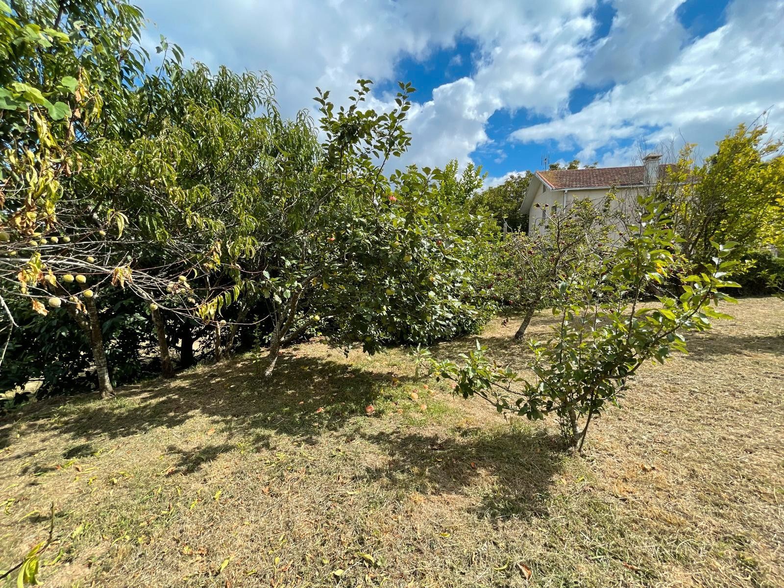 House or chalet for sale in San Sadurniño  with Private garden, Parquet flooring and Storage room