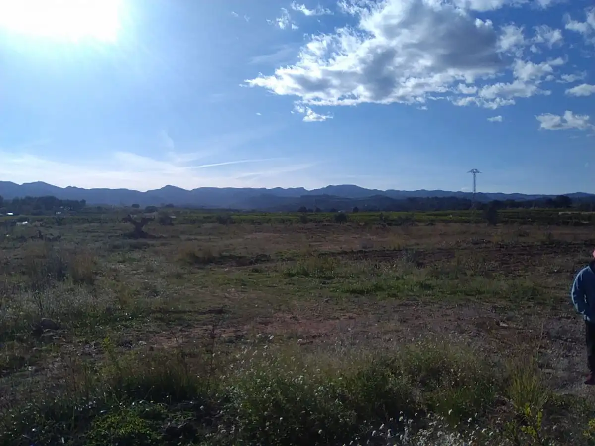 Terreno rústico en venta en Alfara de la Baronia, imagen 14