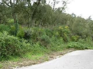 Photo 2 of Residential for sale in Vall-repos, 211, Urbanitzacions del Nord, Girona