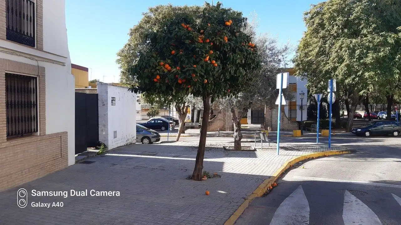Terreni e lotti in vendita a Calle Zurraque, imagen 2