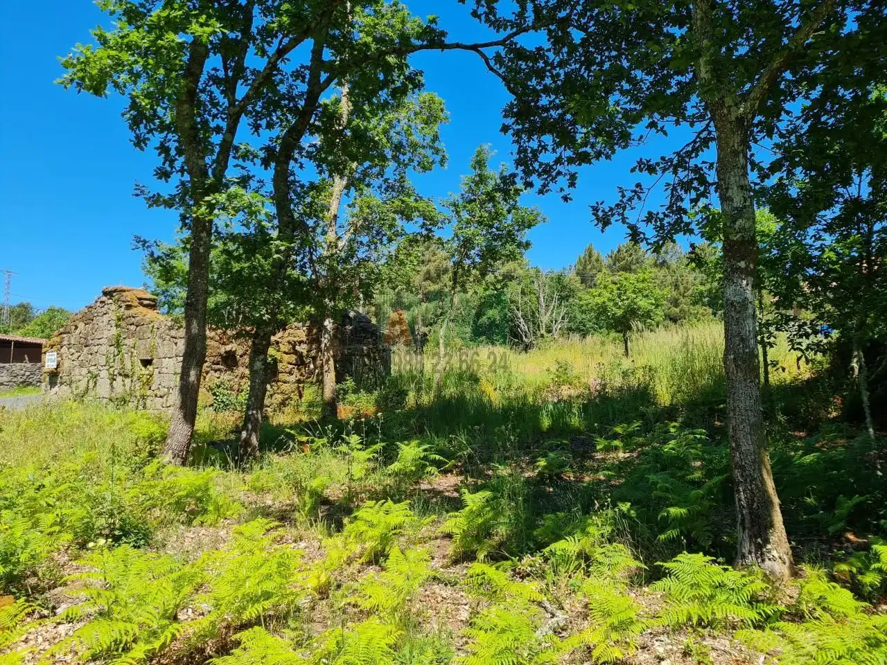 Finca rústica en venda en Amoeiro amb Calefacció i Jardí privat