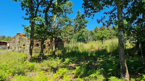 Foto 4 de Finca rústica en venda a Amoeiro, Ourense