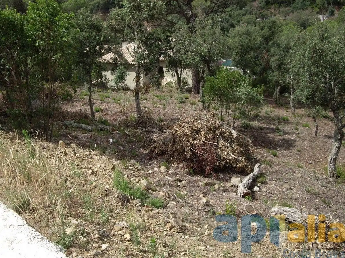 Residential land for sale in Carrer Alzina, imagen 2