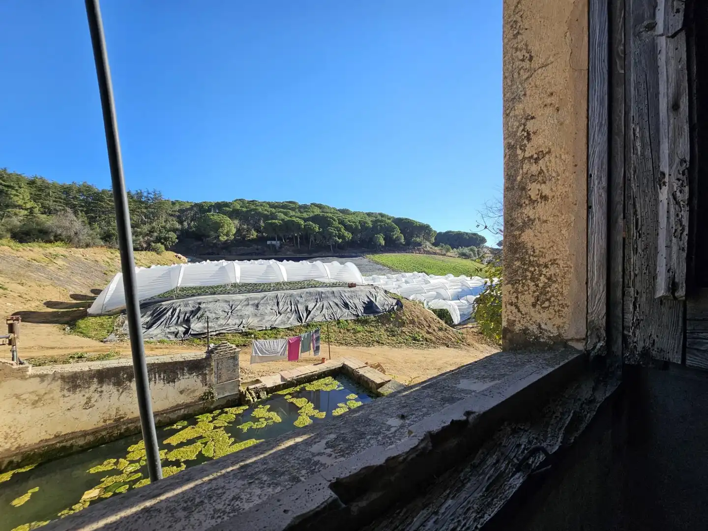Jardín de Finca rústica en venta en Canet de Mar con Jardín privado
