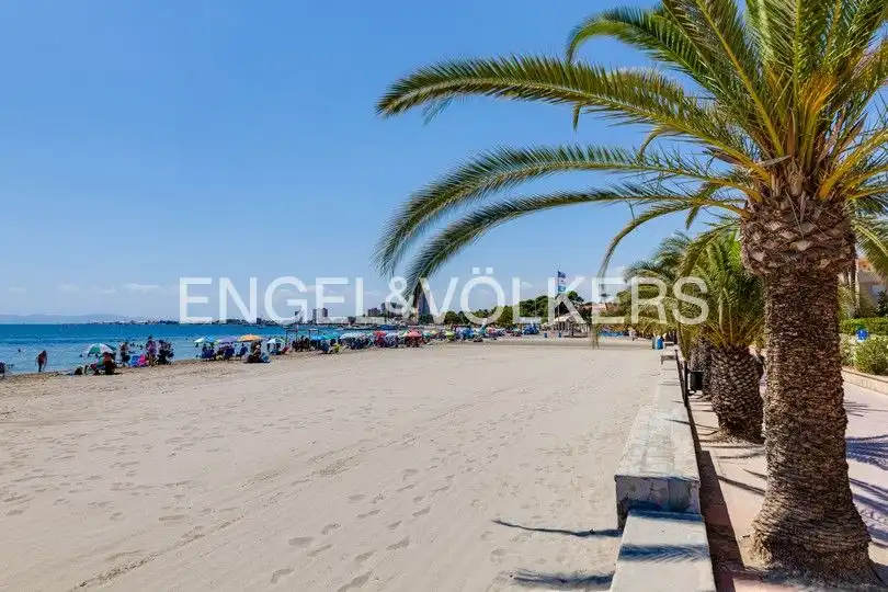 Vista exterior de Casa o chalet en venta en San Pedro del Pinatar con Aire acondicionado, Calefacción y Jardín privado