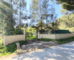 Garden of Country house for sale in Gibraleón