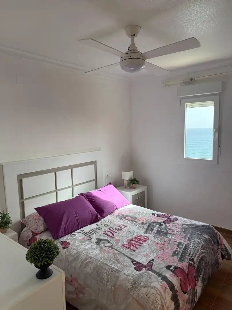 Detached homes for rent in Calle Dentol, Pueblo Español - Coveta Fumá