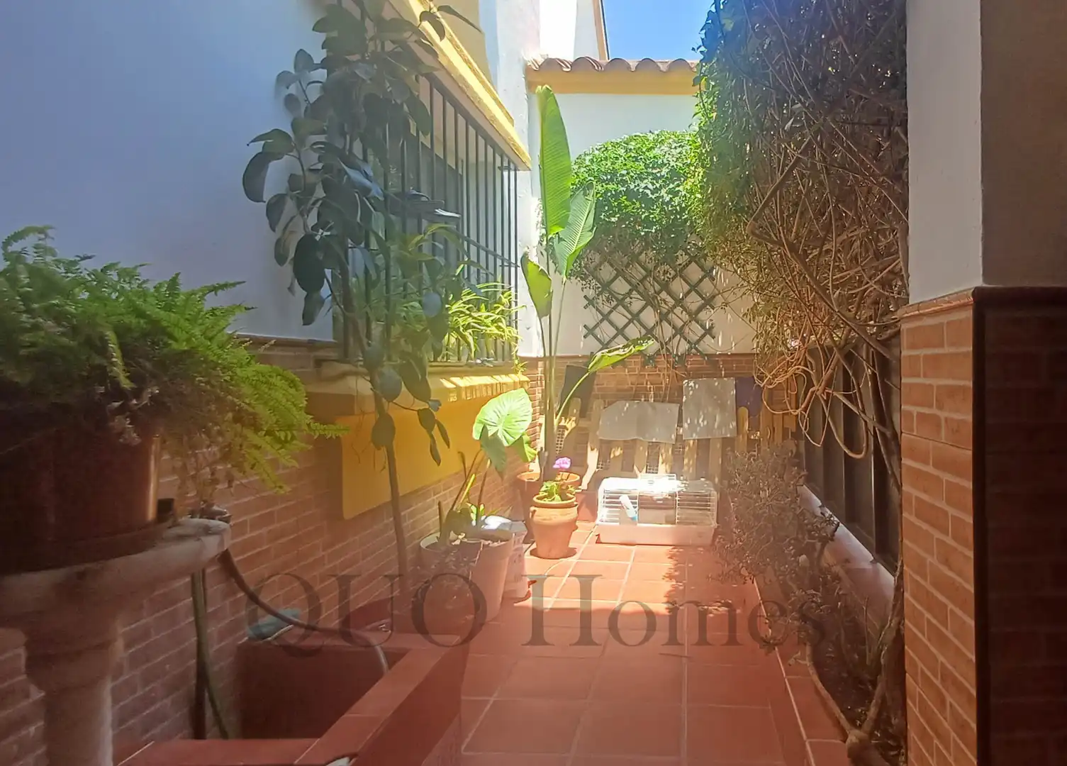 Detached homes for sale in El Altillo