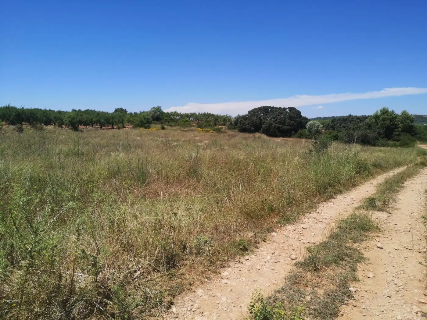 Terreny rústic en venda a Vall d'Alba, imagen 3