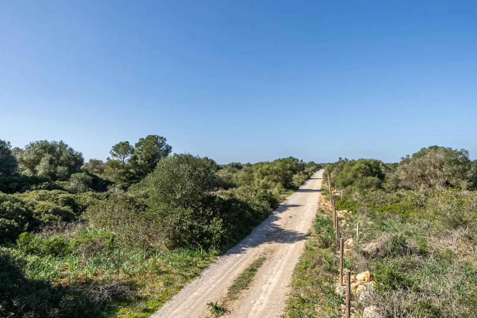Terreny rústic en venda a Sa Ràpita - Ses Covetes, imagen 15