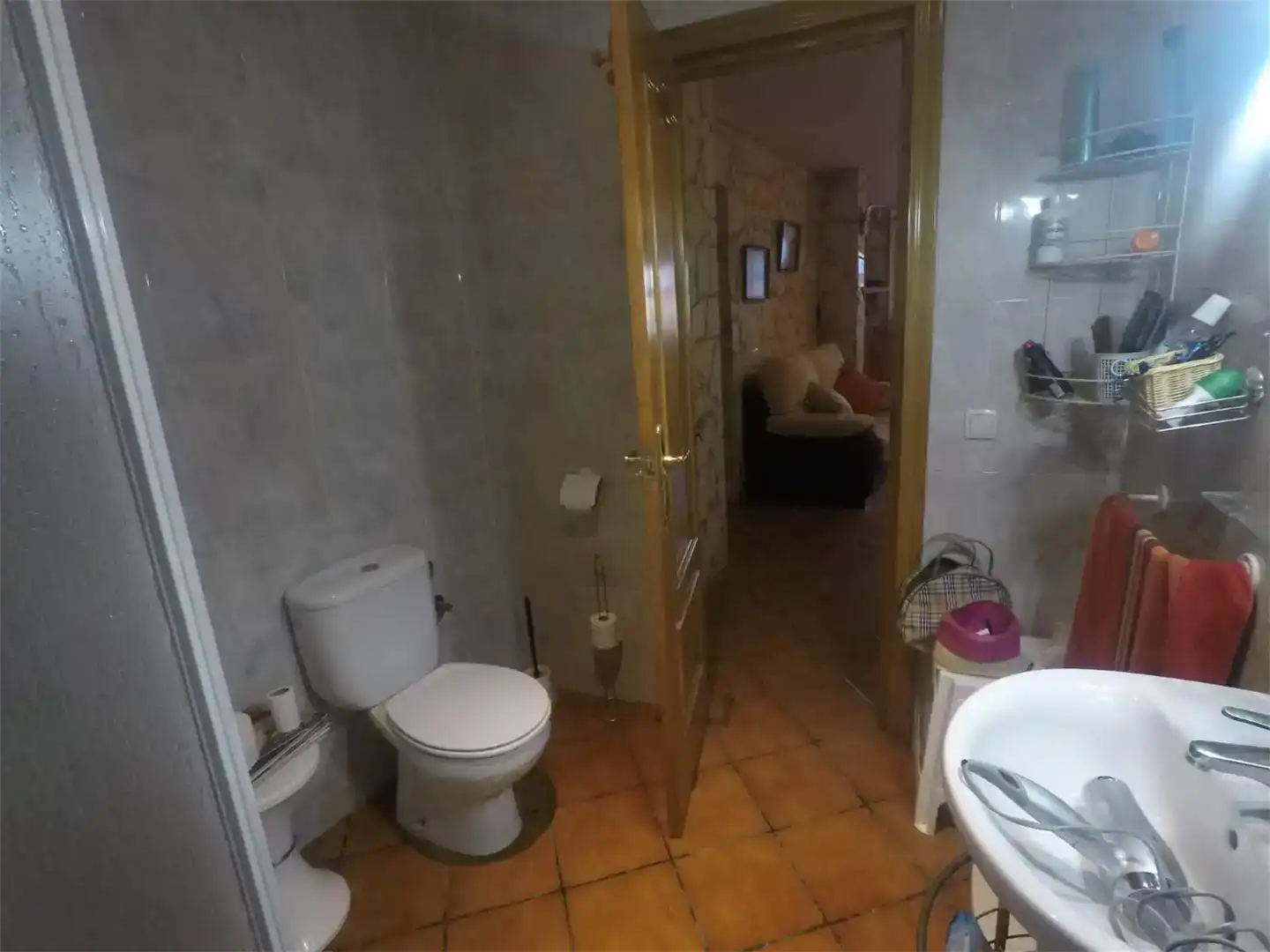 Bany de Casa o xalet en venda en Guadix, Granada