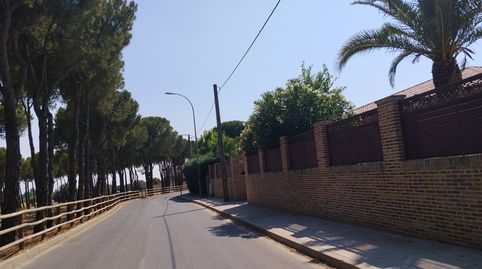 Immagine 3 dell'annuncio