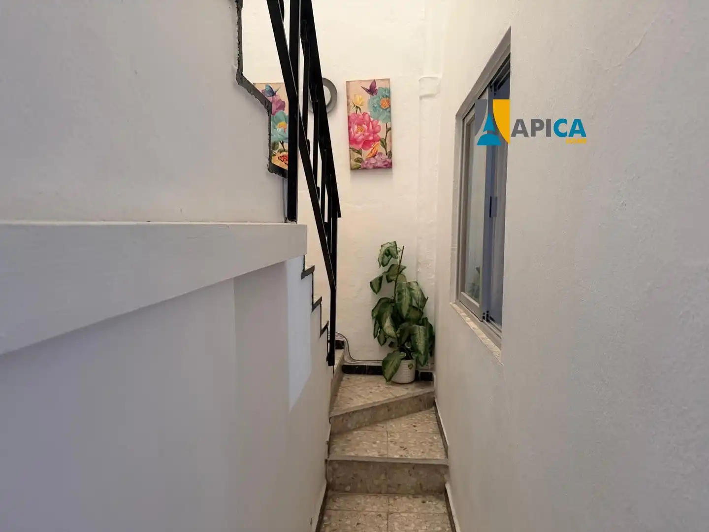 Houses for sale in Conil de la Frontera  with Terrace and Storage room