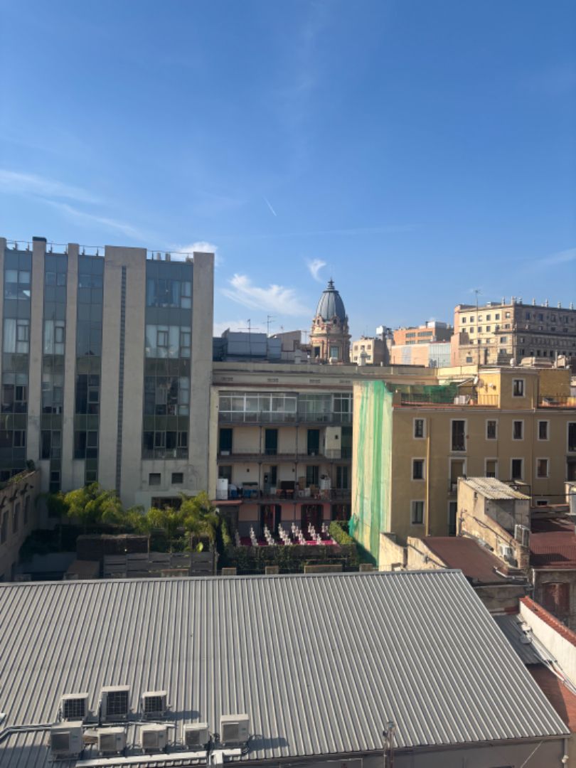 Ático en venta en Barri Gòtic, Ciutat Vella