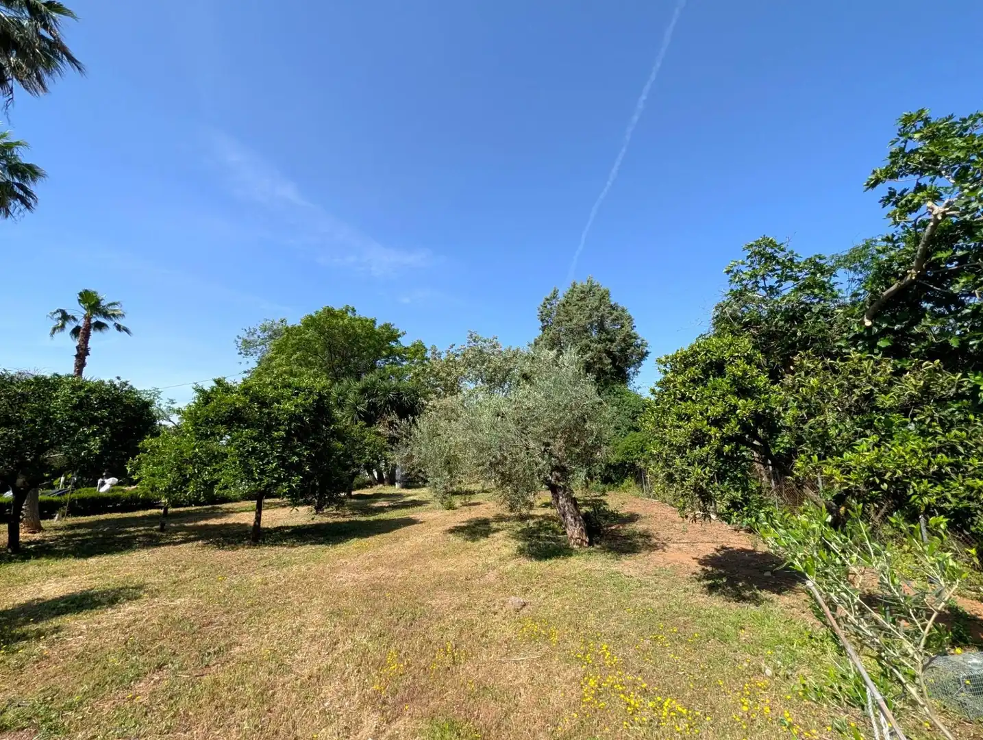 Chalet con jardín en venta en Sanlúcar la Mayor, imagen 30