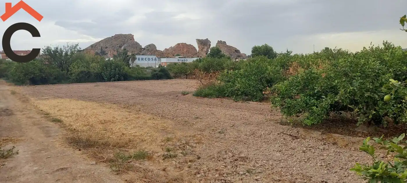 Terreny rústic en venda a Pedanías Norte, imagen 4