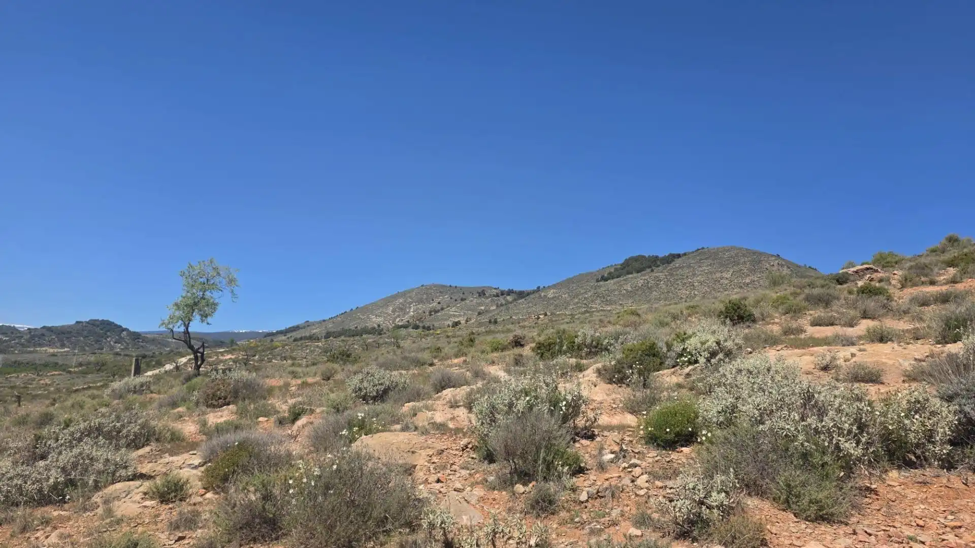 Country homes for sale in Laujar de Andarax
