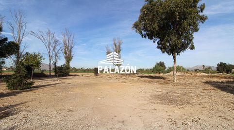 Finca rústica en venta para recreo en Catral Alicante, imatge 2