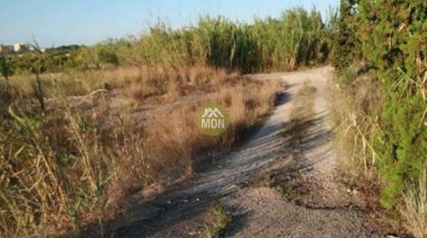 Photo 2 of Land for sale in Playa de Gandia, Valencia