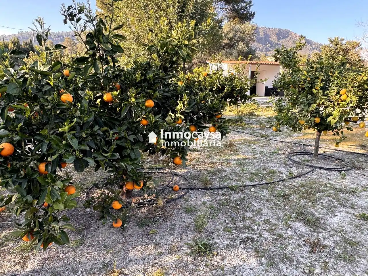 Grundstücke und Bauplätze zum Verkauf in Xàtiva, imagen 3