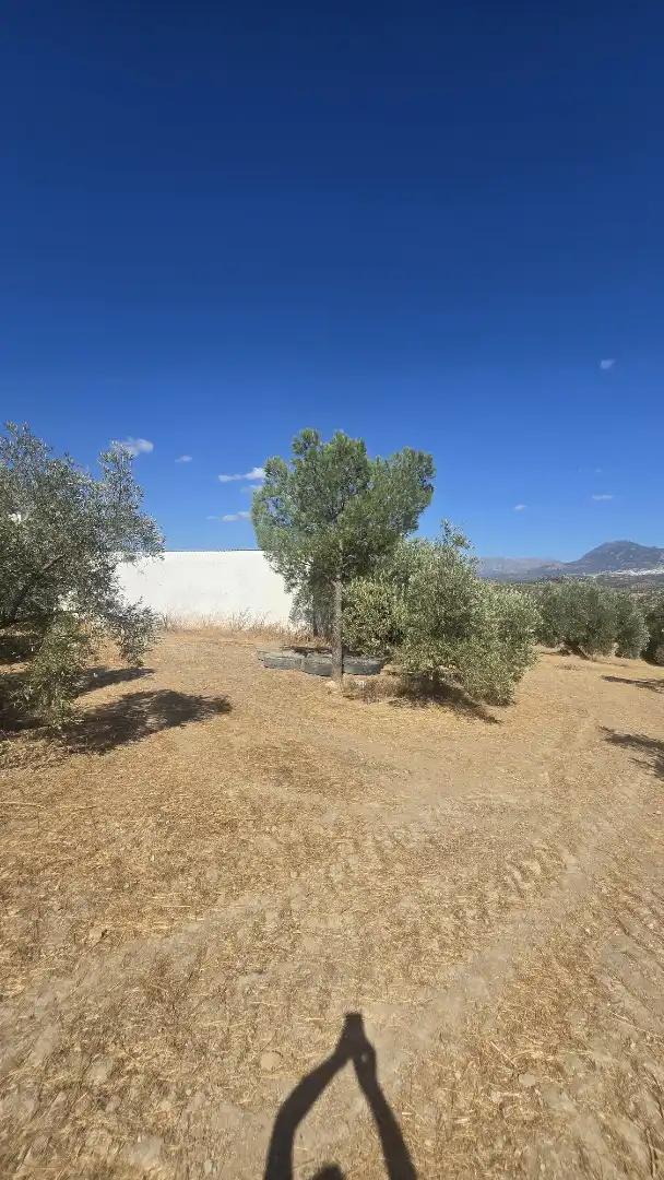 Terrain rustique à vendre à Las Vegas - Campoaras, imagen 2