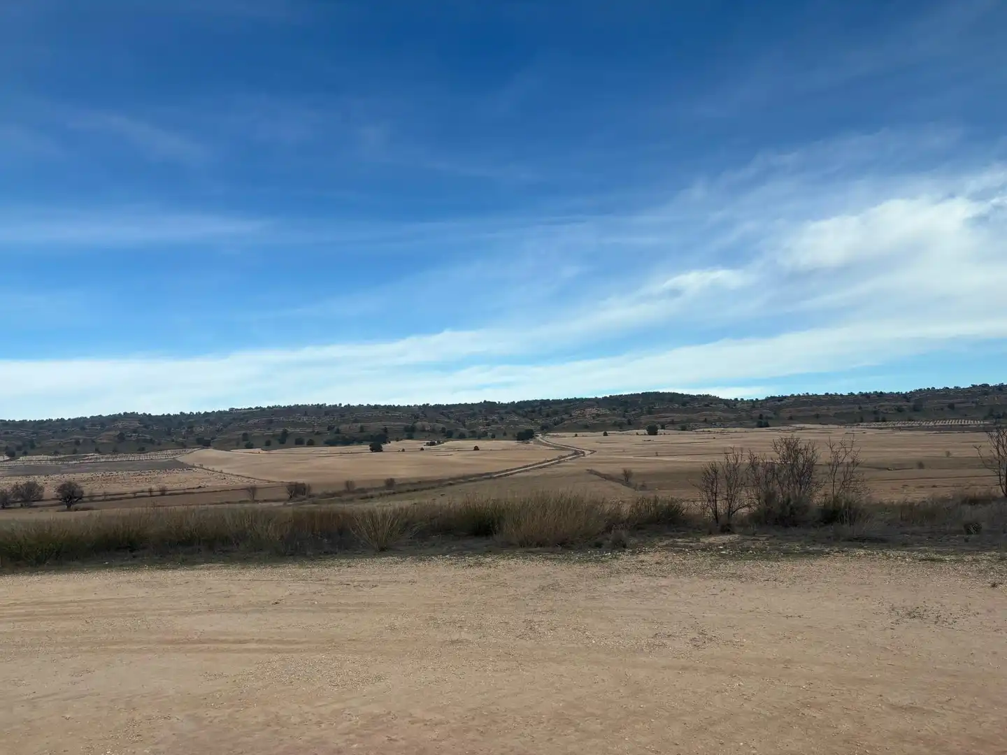 Finca rústica en venta en Ontur