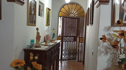 Foto 4 de Finca rústica en venda a Polígono Polígono , Villamartín, Cádiz