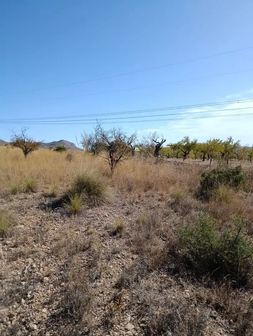 Terreno rustico in vendita a Hondón de las Nieves / El Fondó de les Neus, imagen 37