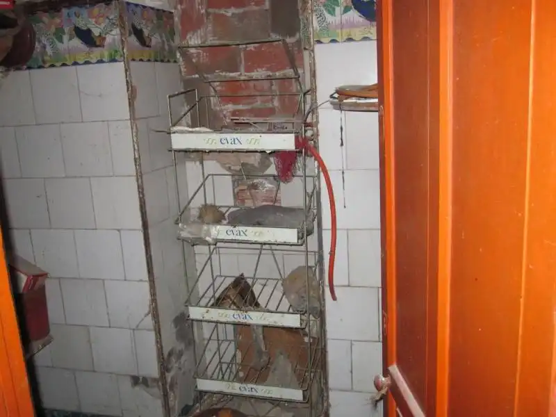 Maison avec terrasse à vendre à Novelda, imagen 12
