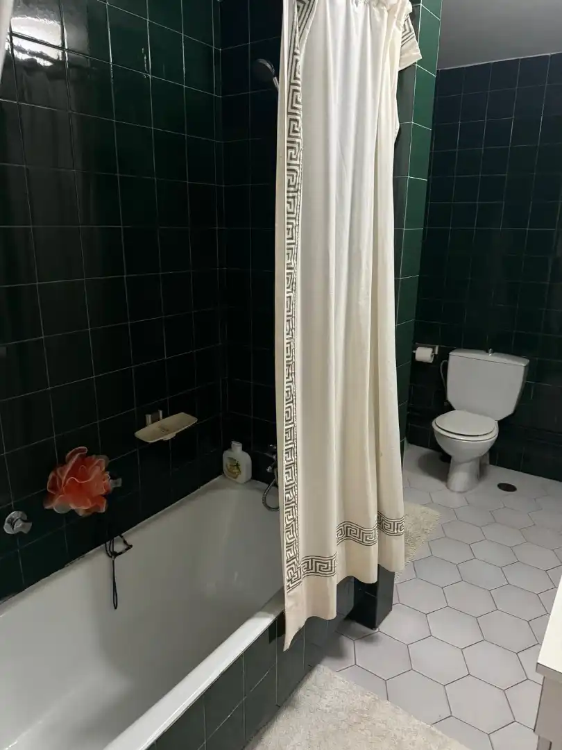 Piso con terraza en venta en Calle Emilio Castelar 27, imagen 55